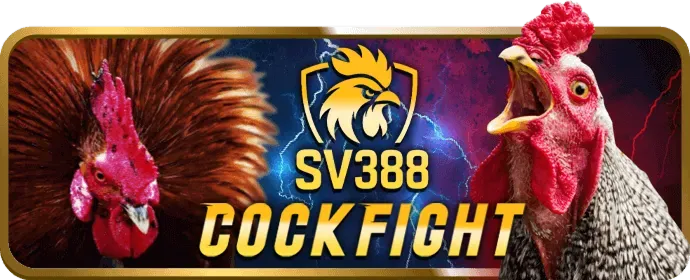 Điền thông tin đăng ký AN99
